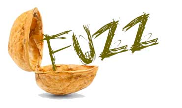 Fuzz